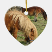 Shaggy Shetland Pony Ornament (Voorkant)