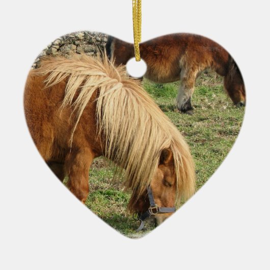 Shaggy Shetland Pony Ornament (Voorkant)
