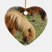 Shaggy Shetland Pony Ornament (Achterkant)