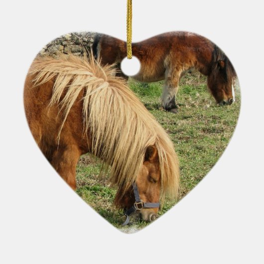 Shaggy Shetland Pony Ornament (Achterkant)