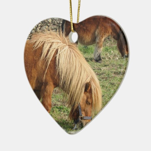 Shaggy Shetland Pony Ornament (Links)
