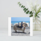 Shaggy Yak die een heldere CO2-uitloging heeft Briefkaart (Staand voorkant)