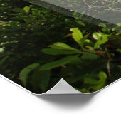 Shah Rukh Khan Quote, ga door met hoop... Poster (Hoek)