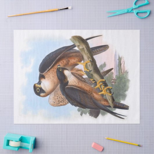 Shaheen Falcon Bird Decoupage Tissuepapier (Craft)