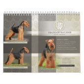 Shaireabs Bayleigh 2014 Welsh Terrier Calendar Kalender (Hoes)
