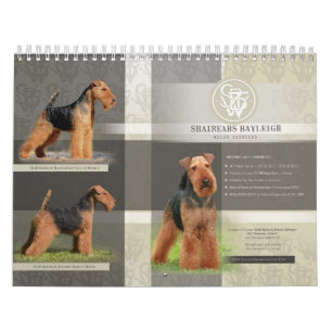 Shaireabs Bayleigh 2014 Welsh Terrier Calendar Kalender