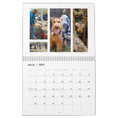 Shaireabs Bayleigh 2014 Welsh Terrier Calendar Kalender (Mar 2027)
