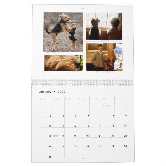 Shaireabs Bayleigh 2014 Welsh Terrier Calendar Kalender (Jan 2027)