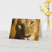 Shaka Eye of the Lion Kaart (Gele Bloem)