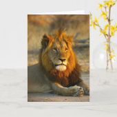 Shaka the Lion at Sunset Kaart (Gele Bloem)