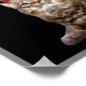 Shakespeare en zijn kat poster (Hoek)