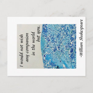 Shakespeare Friendship Quote Briefkaart