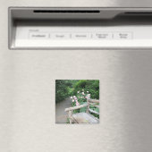 Shakespeare Garden Bench Rozen Central Park NYC Magneet (Insitu (Vaatwasser))