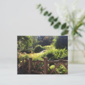 Shakespeare Garden NYC Central Park Foto Briefkaar Briefkaart (Staand voorkant)
