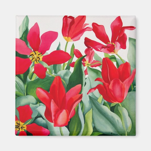 Shakespeare Tulips Magneet (Voorkant)