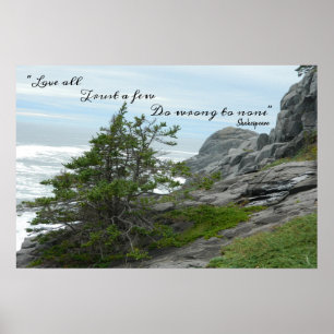 Shakespeare, Wild Ocean Zee, heeft het mis. Poster