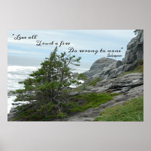 Shakespeare, Wild Ocean Zee, heeft het mis. Poster (Voorkant)