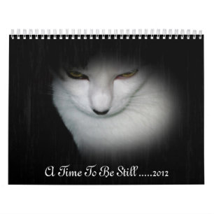 Shakira 2012 Agenda! Kalender
