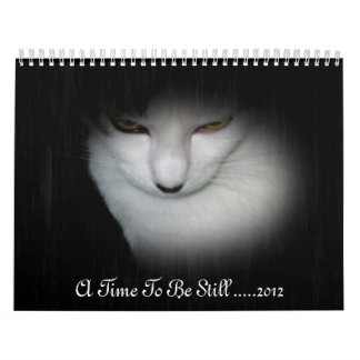 Shakira 2012 Agenda! Kalender