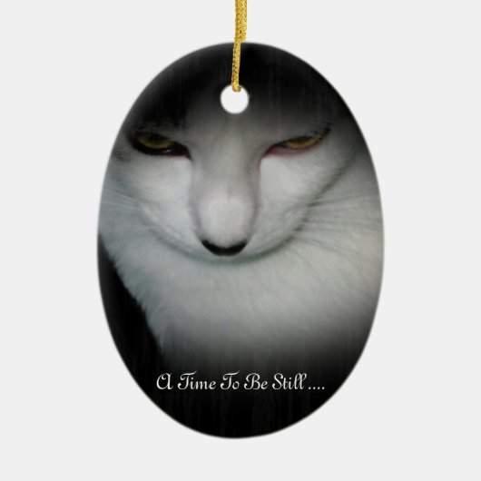 Shakira's tijd om nog steeds te worden... keramisch ornament (Voorkant)