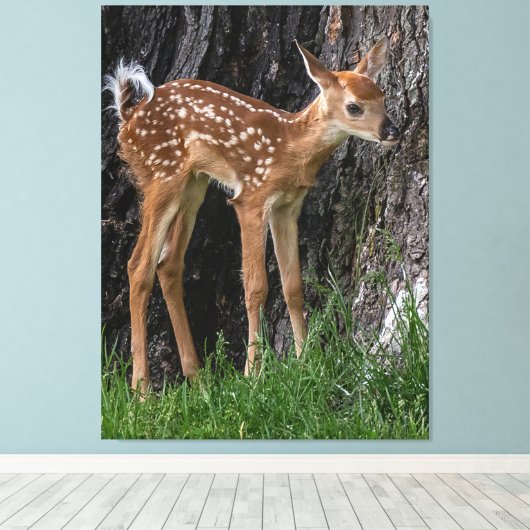 Shaky Legs Fawn Canvas Afdruk (Insitu (Houten vloer))