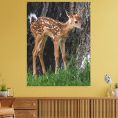 Shaky Legs Fawn Canvas Afdruk (Insitu (Woonkamer))