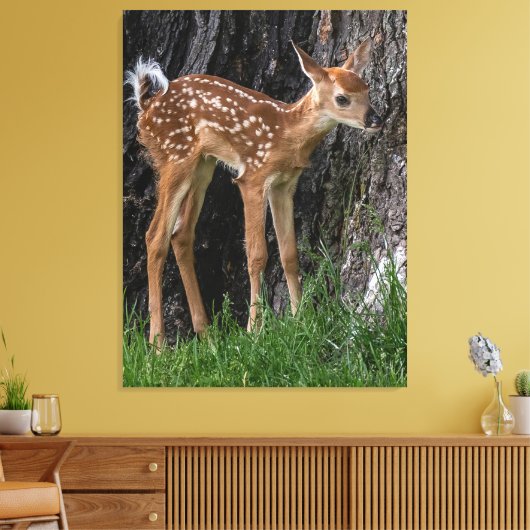 Shaky Legs Fawn Canvas Afdruk (Insitu (Woonkamer))