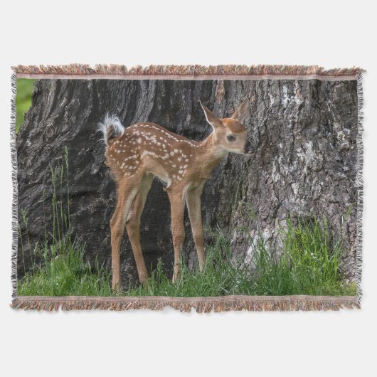 Shaky Legs Fawn Deken (Voorkant)