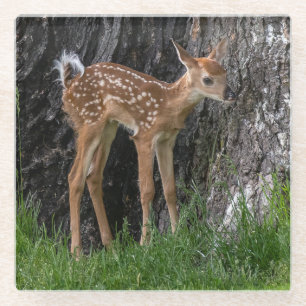 Shaky Legs Fawn Glazen Onderzetter