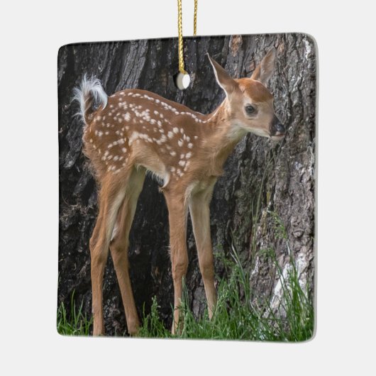 Shaky Legs Fawn Keramisch Ornament (Links)