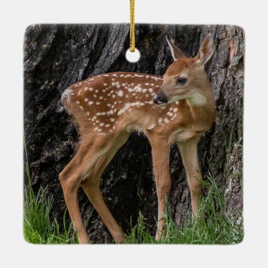 Shaky Legs Fawn Keramisch Ornament (Achterkant)