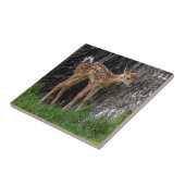 Shaky Legs Fawn Tegeltje (Zijkant)