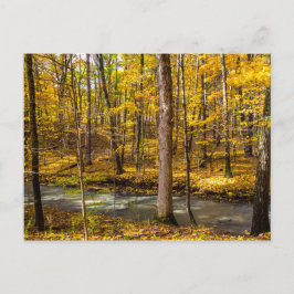 Shale Hollow in de herfst, Lewis Center, Ohio Briefkaart