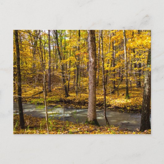 Shale Hollow in de herfst, Lewis Center, Ohio Briefkaart (Voorkant)
