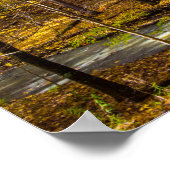 Shale Hollow in de herfst, Lewis Center, Ohio Poster (Hoek)