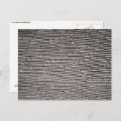 Shallot de uien epidermiscellen onder de microscoo briefkaart (Voorkant / Achterkant)