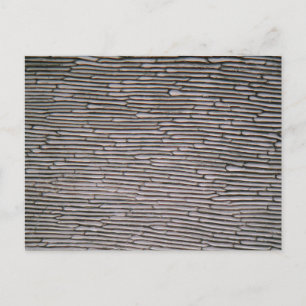 Shallot de uien epidermiscellen onder de microscoo briefkaart