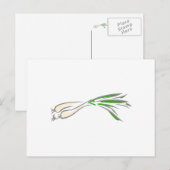 Shallots Briefkaart (Voorkant / Achterkant)