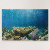 Shallow Coral Reef 20 x 30 inch Legpuzzel (Horizontaal)