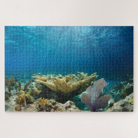 Shallow Coral Reef 20 x 30 inch Legpuzzel (Horizontaal)