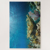 Shallow Coral Reef 20 x 30 inch Legpuzzel (Verticaal)