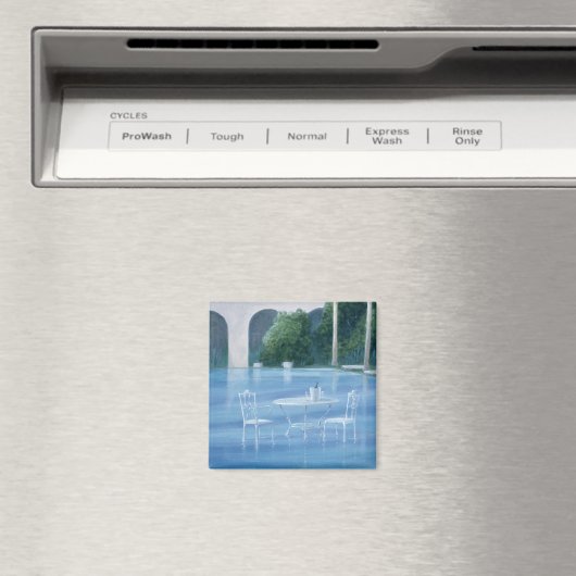 Shallow End Magneet (Insitu (Vaatwasser))