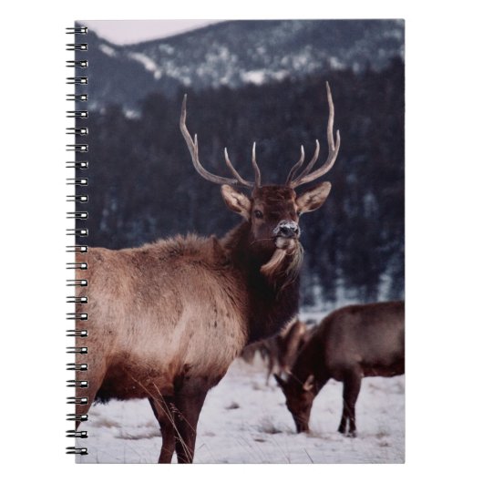 SHALLOW FOCUS FOTO VAN BROWN DEER NOTITIEBOEK (Voorkant)