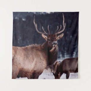 SHALLOW FOCUS FOTO VAN BROWN DEER WANDKLEED