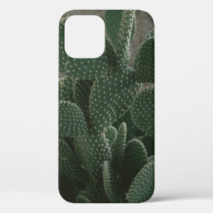 SHALLOW FOCUS FOTOGRAFIE VAN CACTUS Case-Mate iPhone CASE
