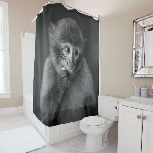 SHALLOW FOCUS FOTOGRAPHY OF BLACK MONKEY DOUCHEGORDIJN (In situ)