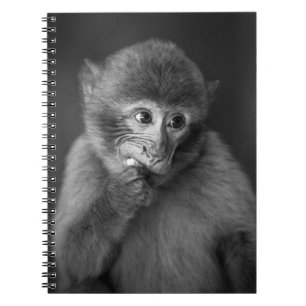 SHALLOW FOCUS FOTOGRAPHY OF BLACK MONKEY NOTITIEBOEK