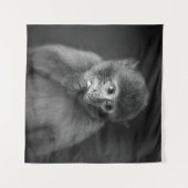 SHALLOW FOCUS FOTOGRAPHY OF BLACK MONKEY WANDKLEED (Voorkant (horizontaal))