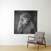 SHALLOW FOCUS FOTOGRAPHY OF BLACK MONKEY WANDKLEED (In situ)