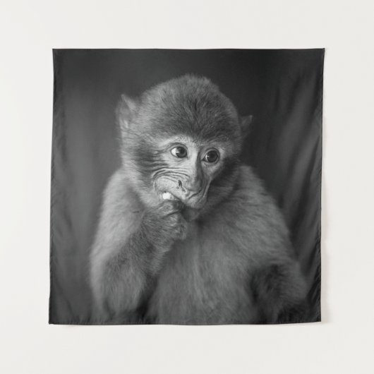 SHALLOW FOCUS FOTOGRAPHY OF BLACK MONKEY WANDKLEED (Voorkant)